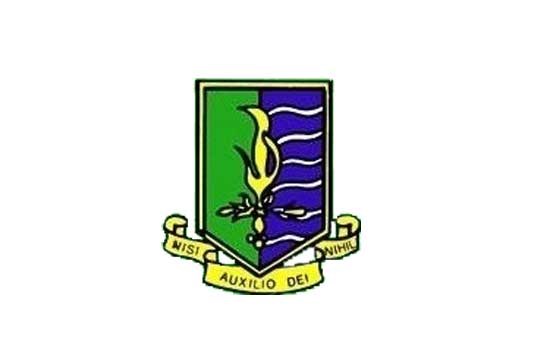 The St. Michael School